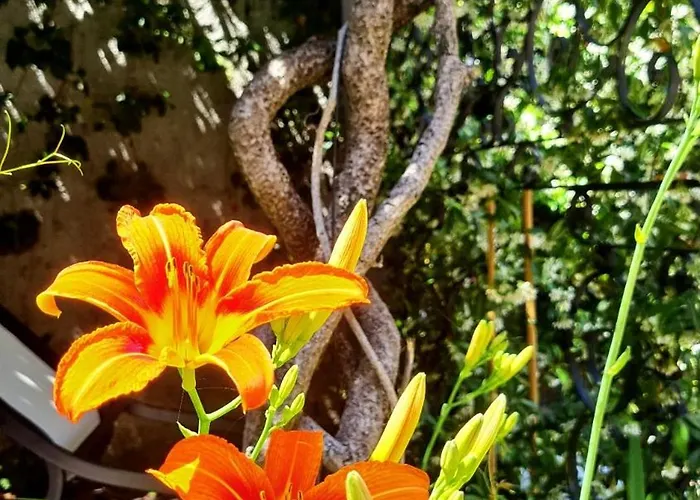 Corte Sant'andrea - Near