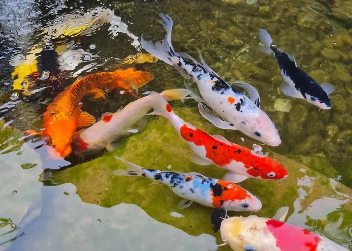 דירה Corte Sant'andrea - Near בלאג'יו