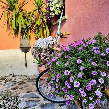 Corte Sant'andrea * بيلاجيو